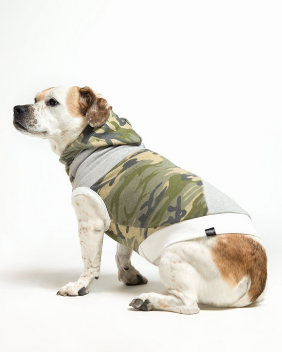 The Cadet Cotton Camo Hoodie for Long Dogs (Made in the USA)