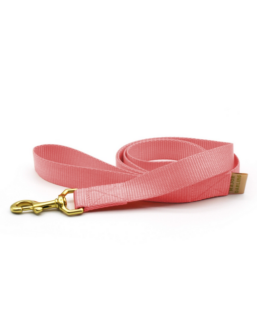 Basic Nylon Dog Leash in Pink (Made in the USA)