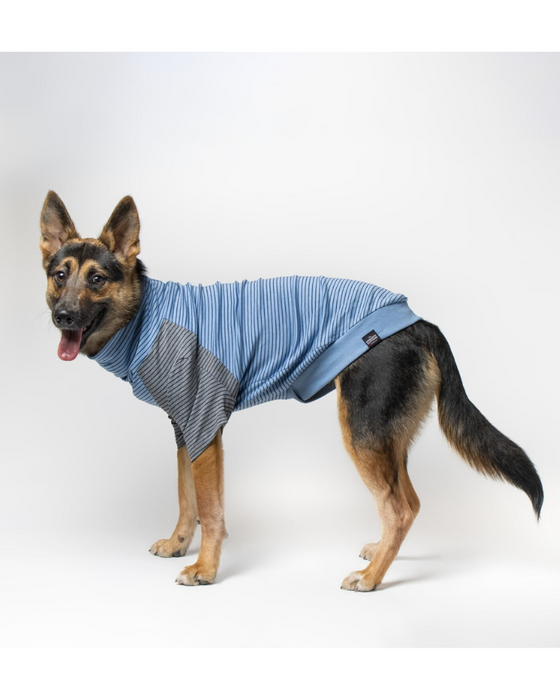 The Marlin Organic Cotton T-Shirt for Long Dogs (Made in the USA) << FINAL SALE >>