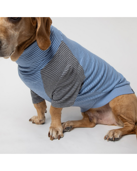 The Marlin Organic Cotton T-Shirt for Long Dogs (Made in the USA) << FINAL SALE >>