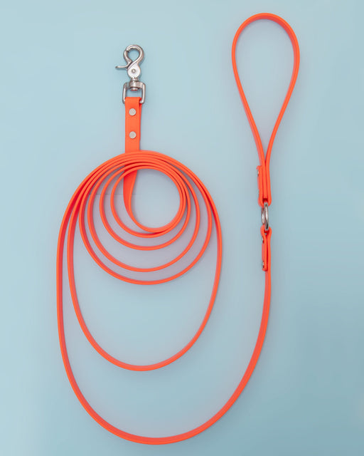 Weekend Long Leash in Neon Orange (10 or 20 Foot) (Made in the USA)