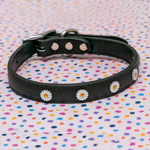 Daisy Dog Collar in Black Leather (Made in the USA) << FINAL SALE >>