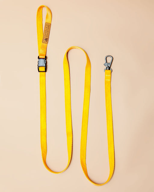 Adjustable Easy Dog Leash in Yellow