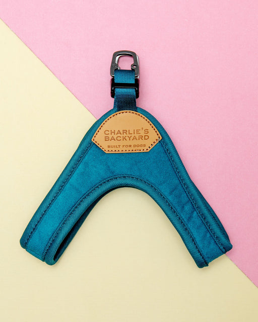 Buckle Up Easy Dog Harness in Teal