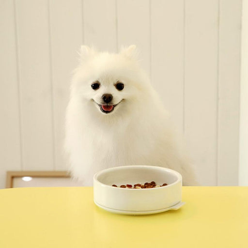 Ceramic & Silicone Pudding Dog Bowl in White << FINAL SALE >>