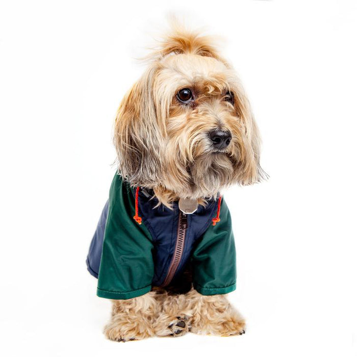 Nylon Colorblock Dog Rainbreaker in Hunter Green & Navy (Exclusive to DOG & CO.)