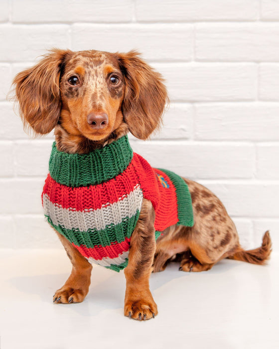 Barking Around the Christmas Tree Handknit Dog Sweater