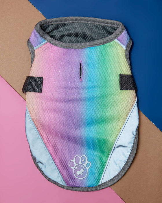 Chill Seeker Cooling Dog Vest in Rainbow << FINAL SALE >>