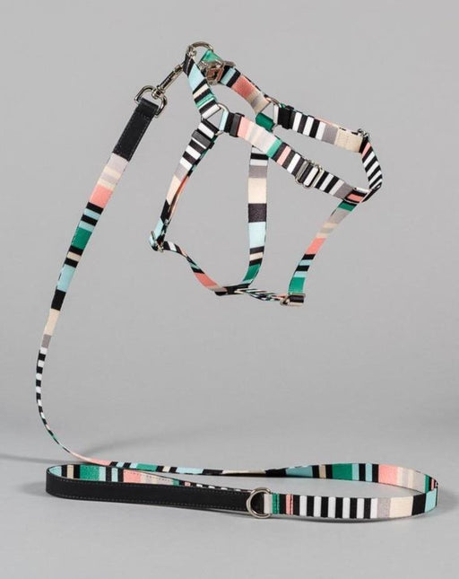 Webbing Nylon Dog Harness in Green Stripe (Made in the USA) (FINAL SALE)