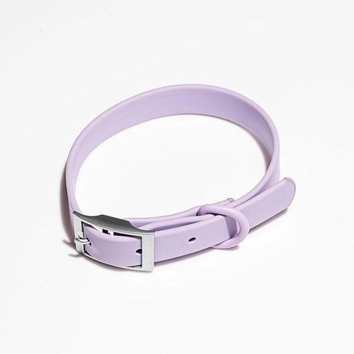 Modern Dog Collar in Lilac